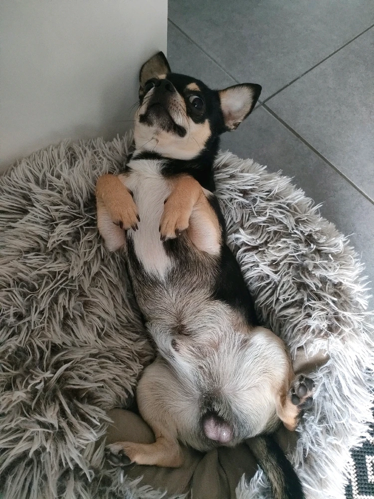 GIF ajouté par Julien