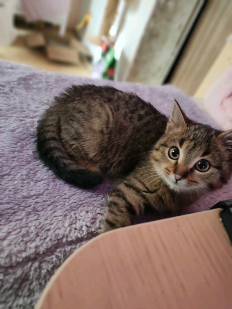 GIF hochgeladen von Veronika