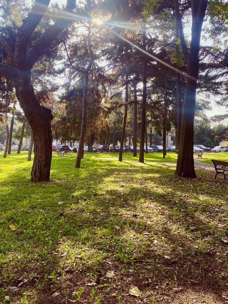 Alp Eren tarafından yüklenen GIF