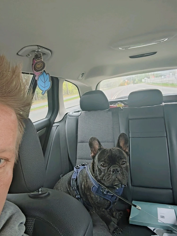 GIF-tiedoston lisäsi Eerik