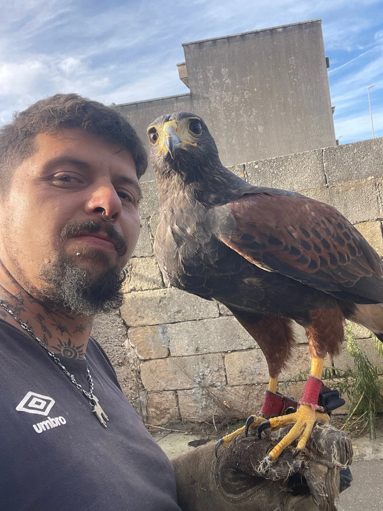 GIF caricata da Giampiero