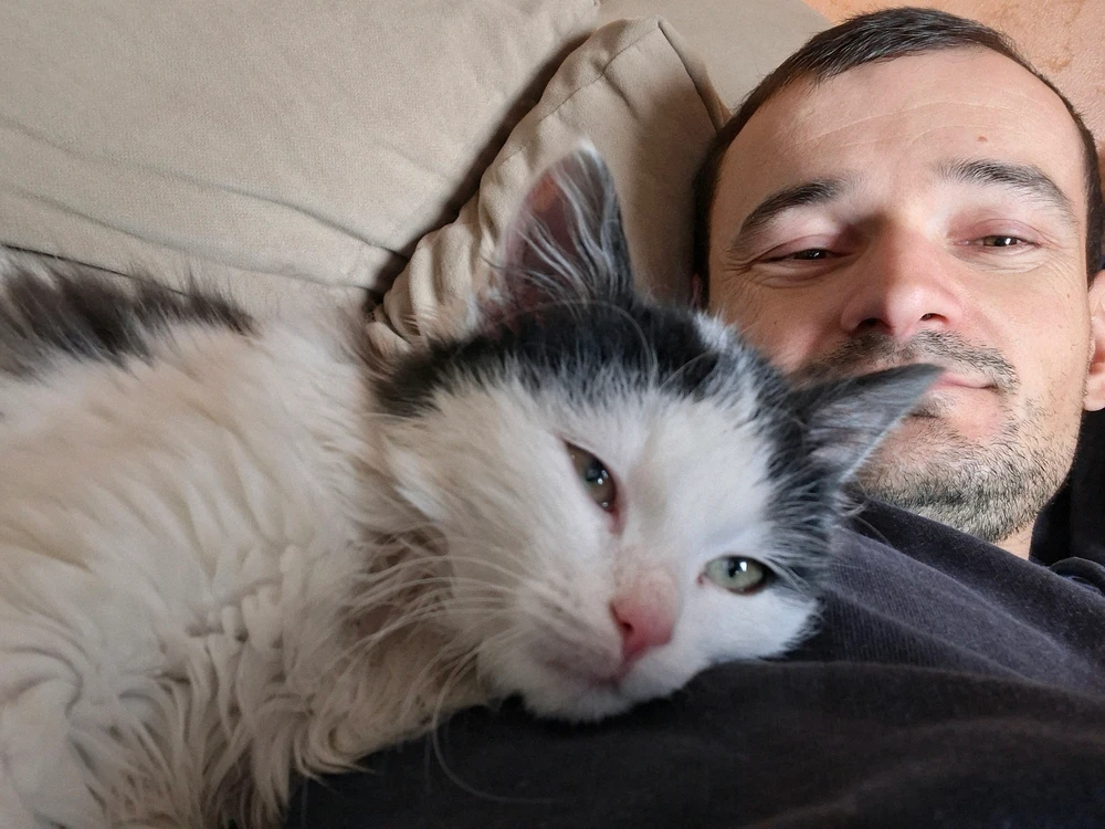 Sliku je postavio/la Srdjan