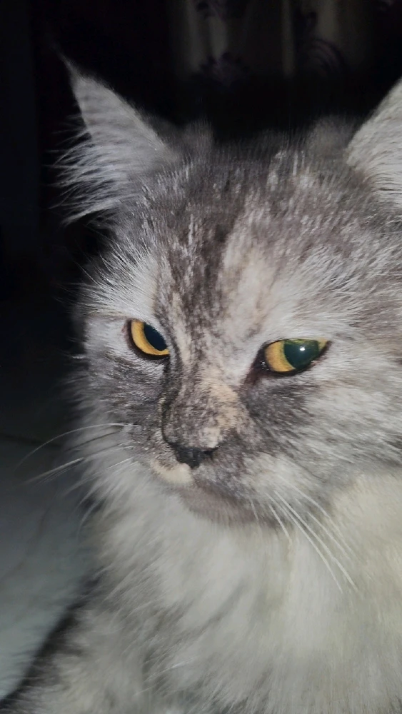 GIF uploaded by Jithin