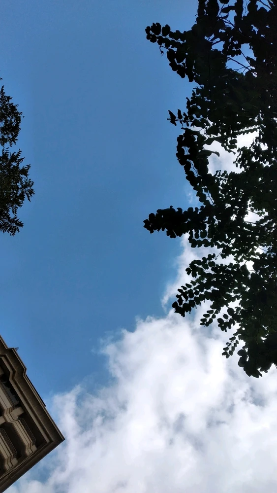 Image uploaded by Alma 🎀