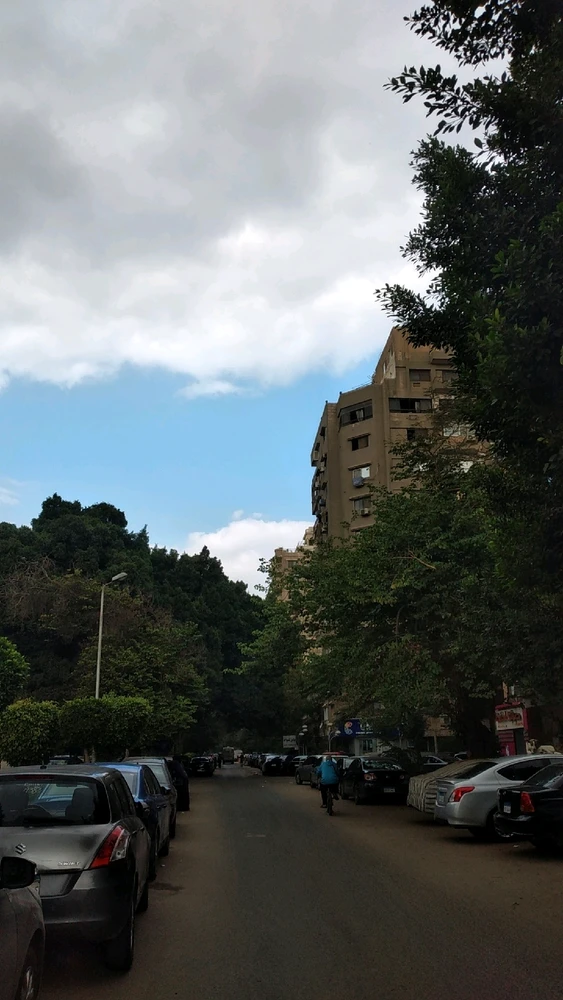 Image uploaded by Alma 🎀