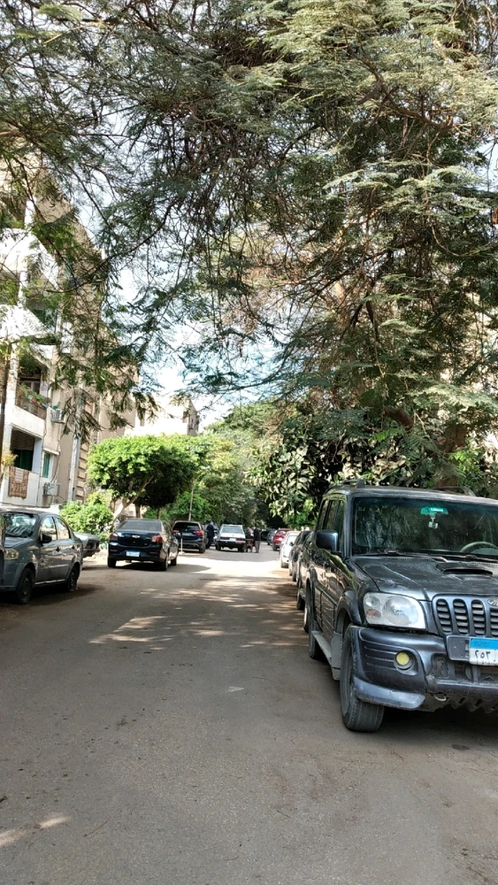 Image uploaded by Alma 🎀