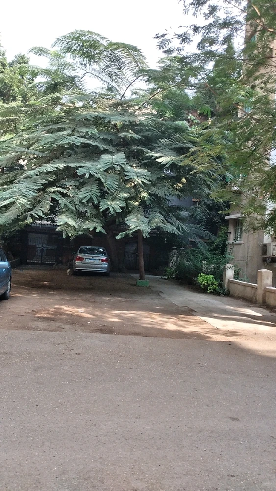 Image uploaded by Alma 🎀