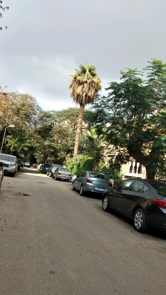 Image uploaded by Alma 🎀