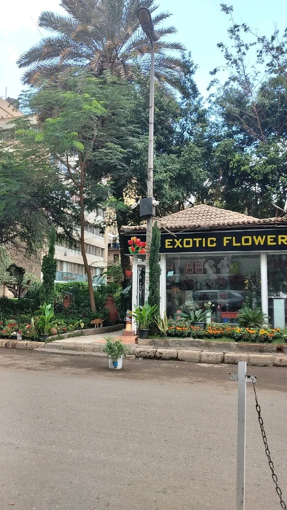 Image uploaded by Alma 🎀