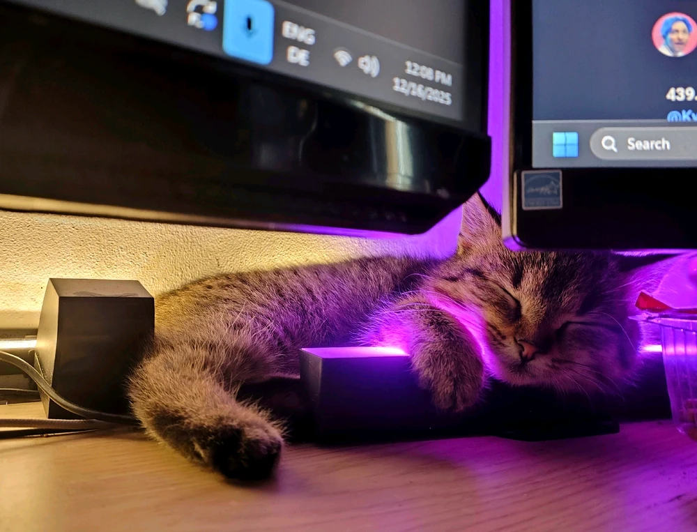 GIF hochgeladen von Veronika