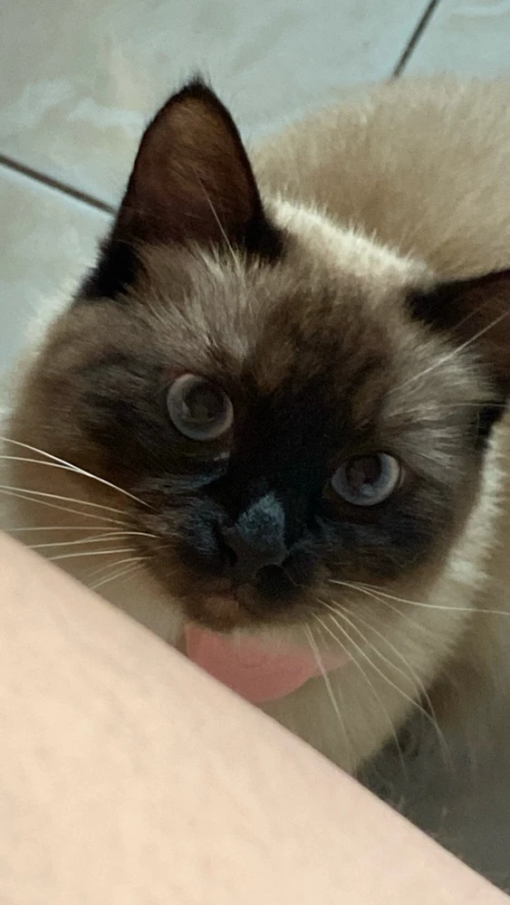 Image uploaded by Mai