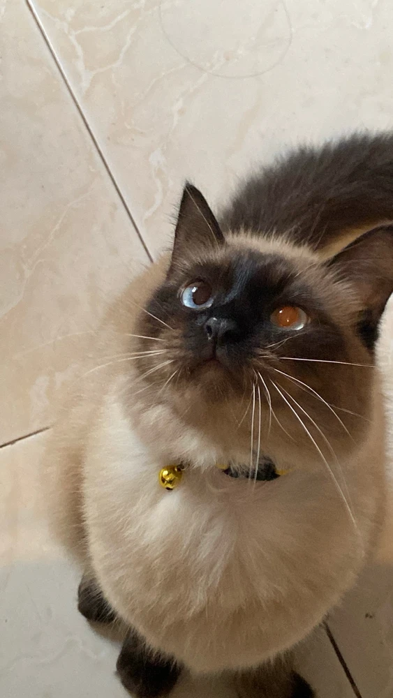 Image uploaded by Mai