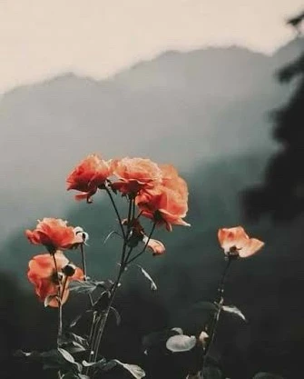 GIF загрузил Doruk