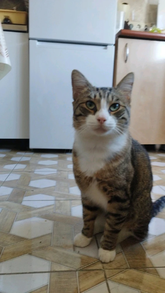 GIF încărcat de Munteanu Dani