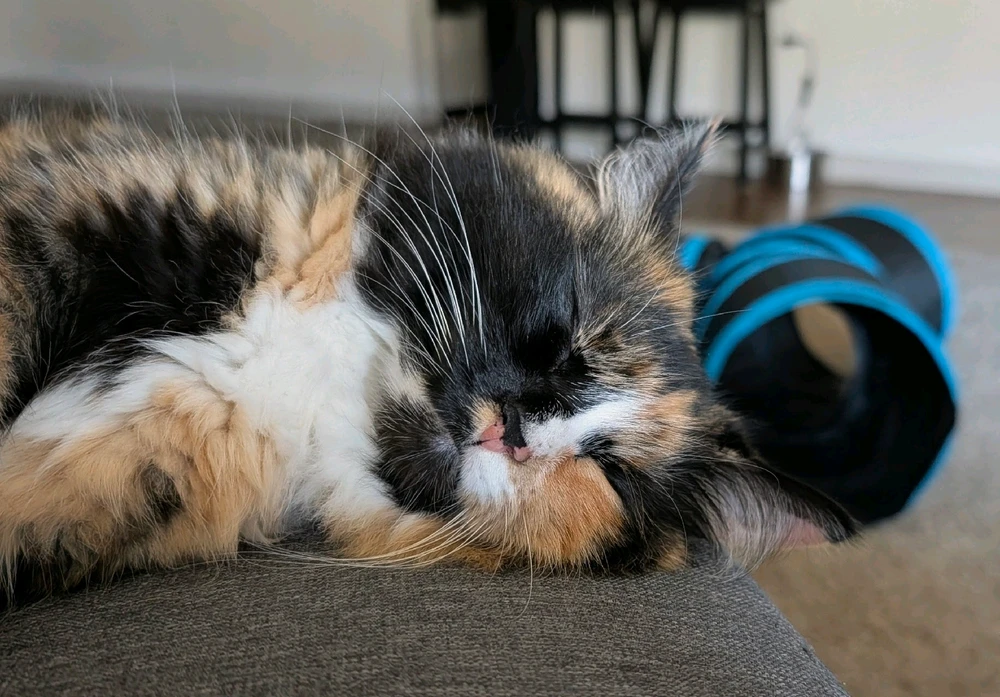 GIF uploaded by Keith