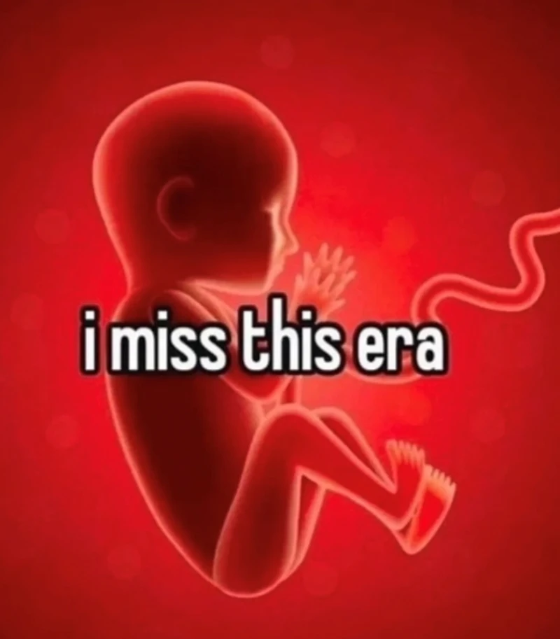 GIF uploaded by 《🌹.::Lenöré::.🌹》