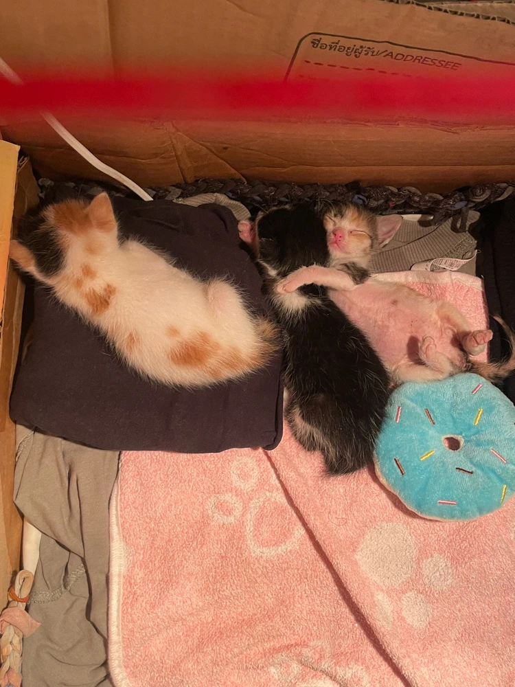 GIF uploaded by granny