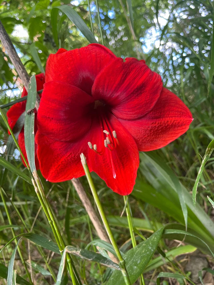 GIF uploaded by Conner