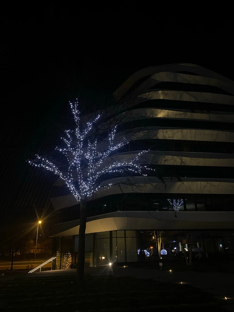 GIF otpremio/la Berkay