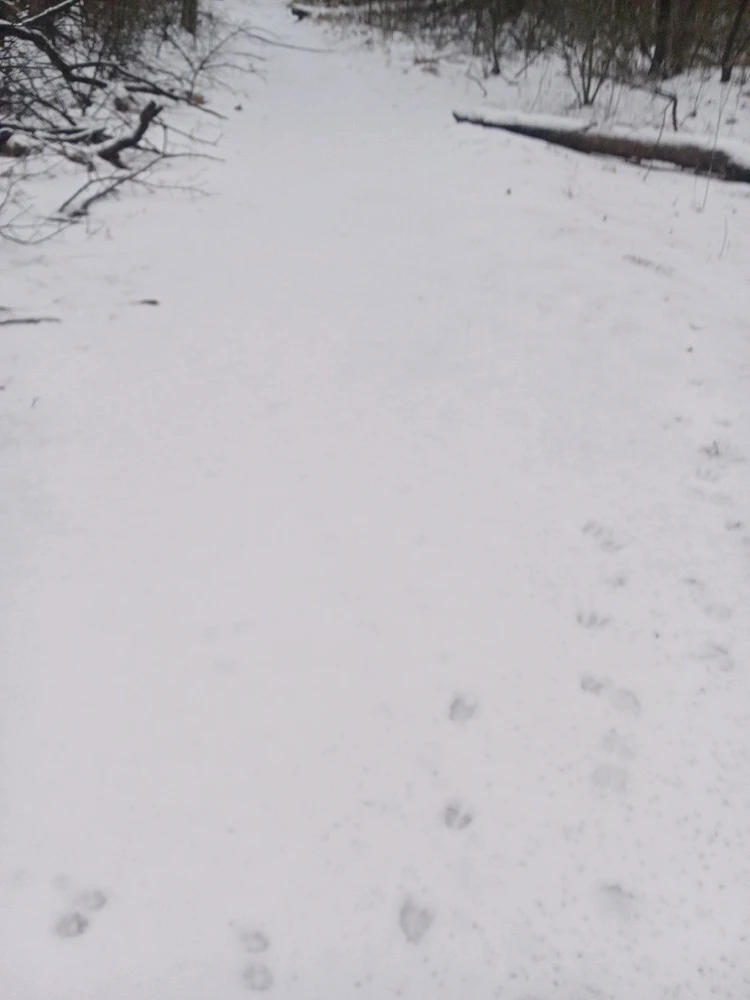 Image uploaded by No No