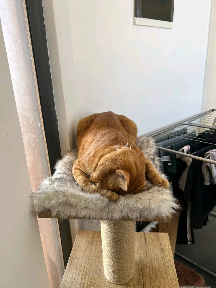 GIF uploaded by Shany