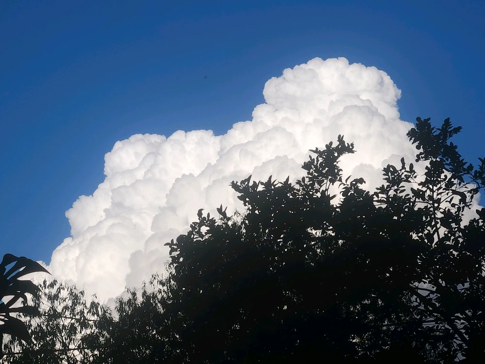 Imagen subida por Abby