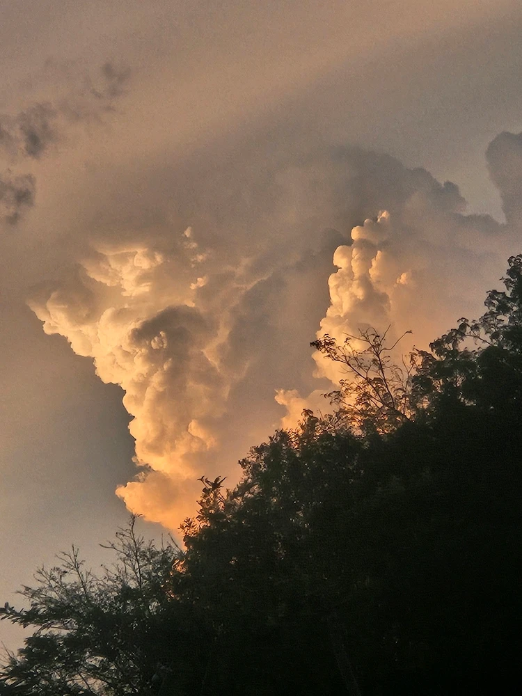 Imagen subida por Abby