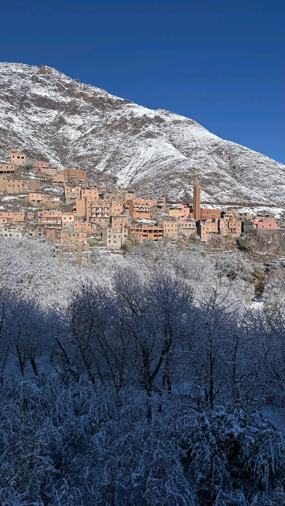 Image ajoutée par Y U N U S E