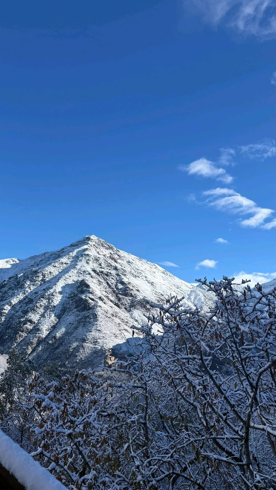 Image ajoutée par Y U N U S E