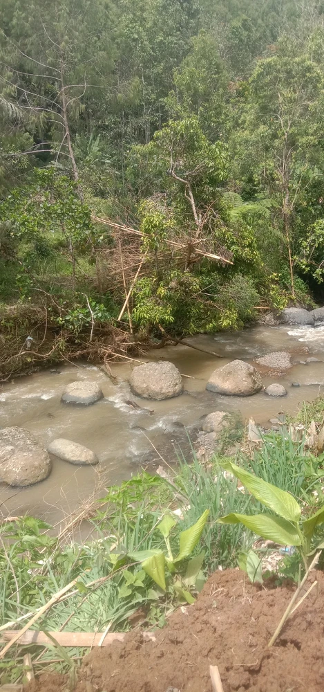 GIF uploaded by Chimus