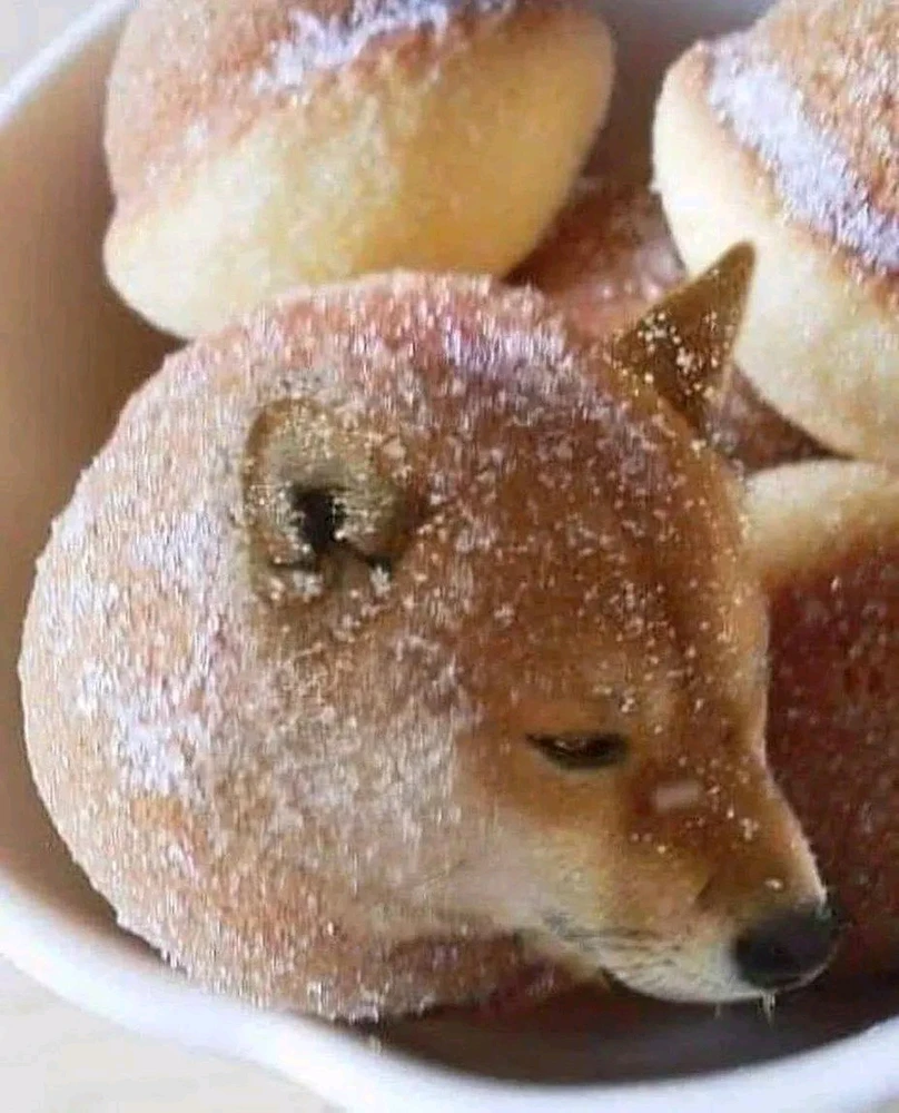 Bild hochgeladen von Alexander