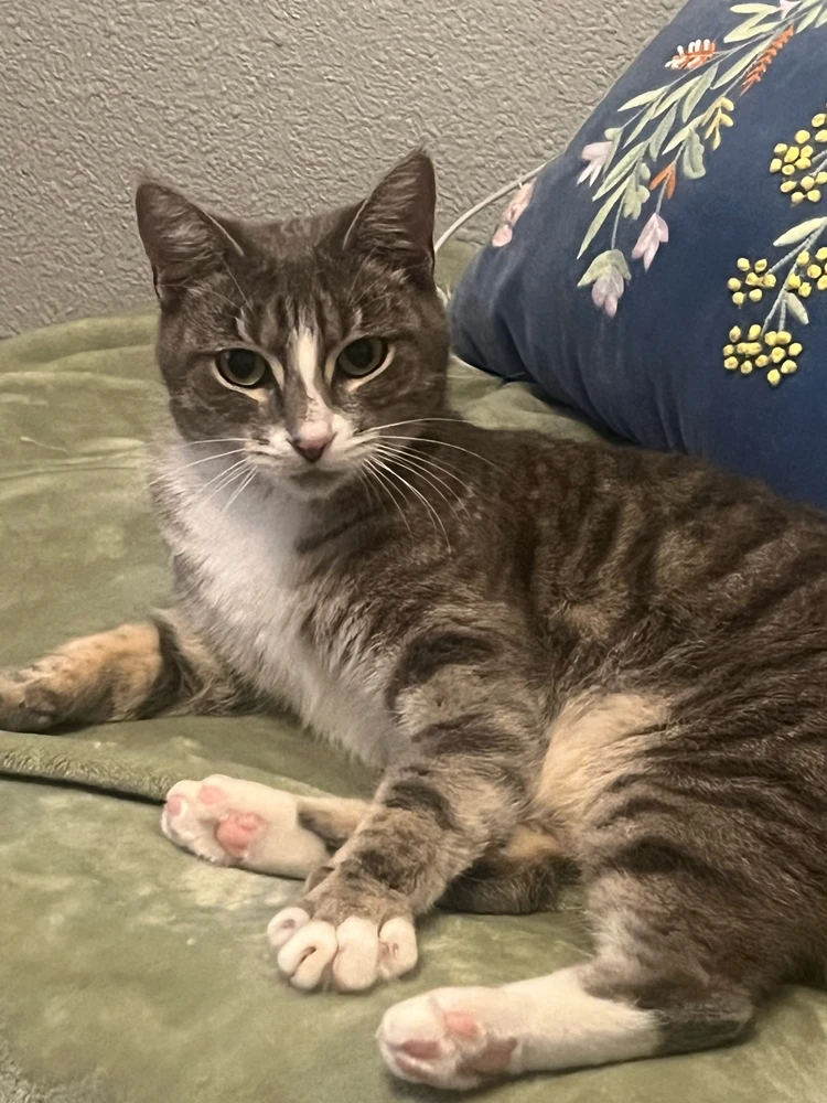 GIF uploaded by Zindia