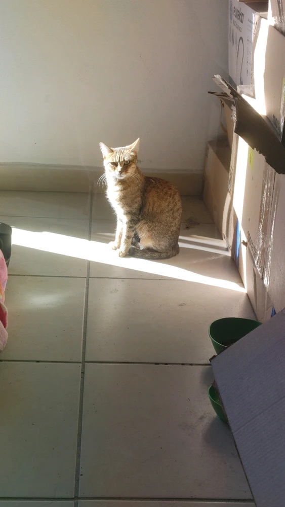 Image uploaded by ❤ Sophia aka Mango Mami ❤️