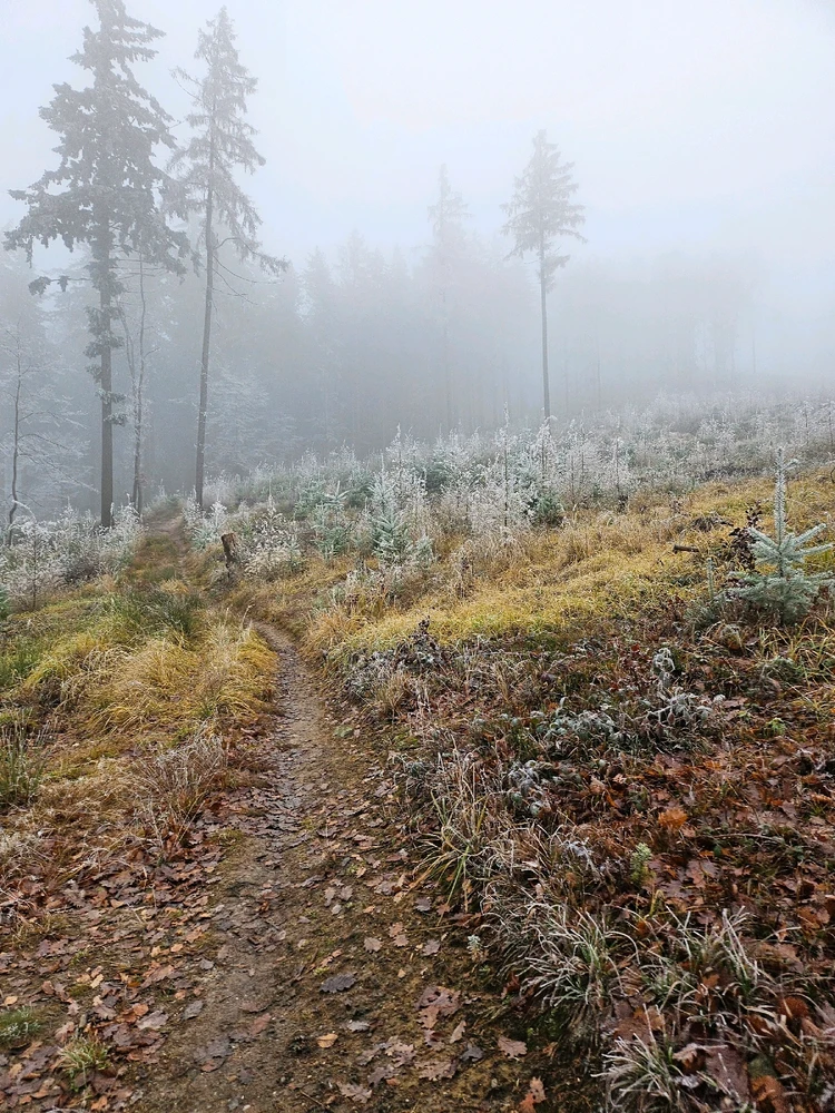 Obrázek nahrál Honza