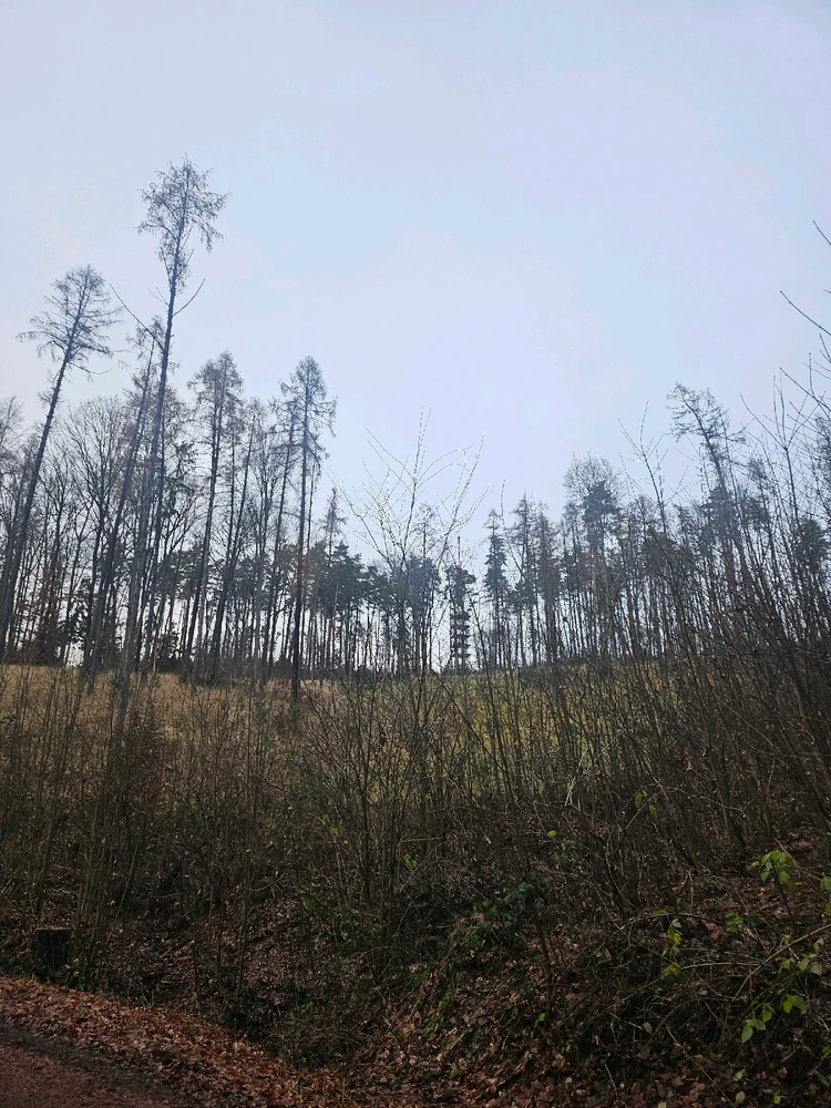 Obrázek nahrál Honza