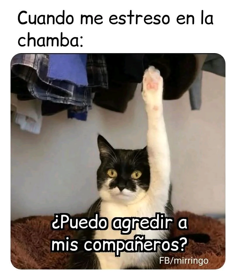 GIF subido por MorteM