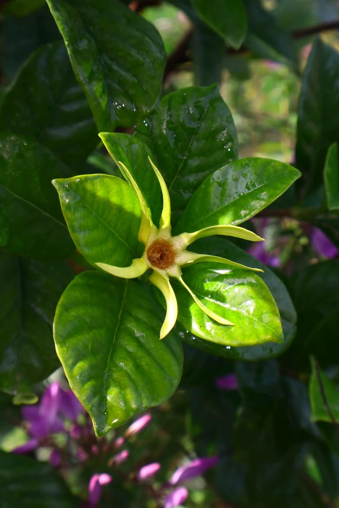 Image uploaded by Jonathan