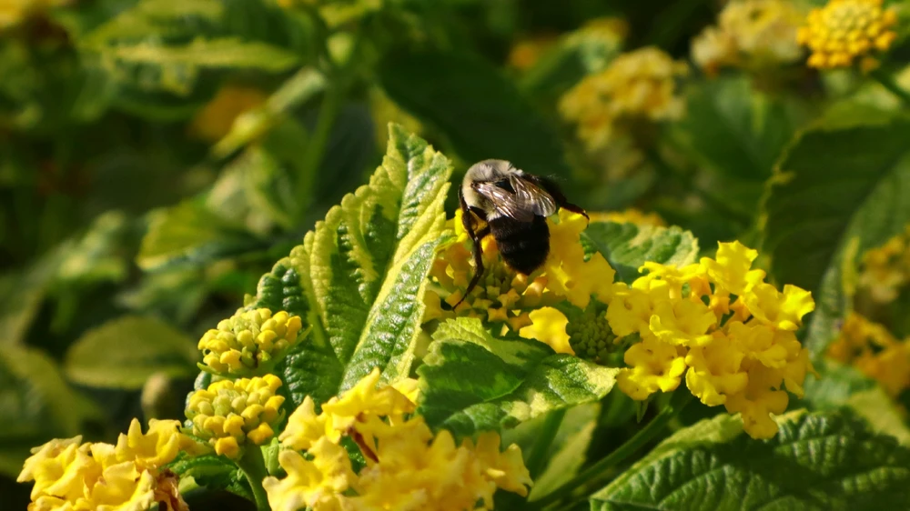 Image uploaded by Jonathan