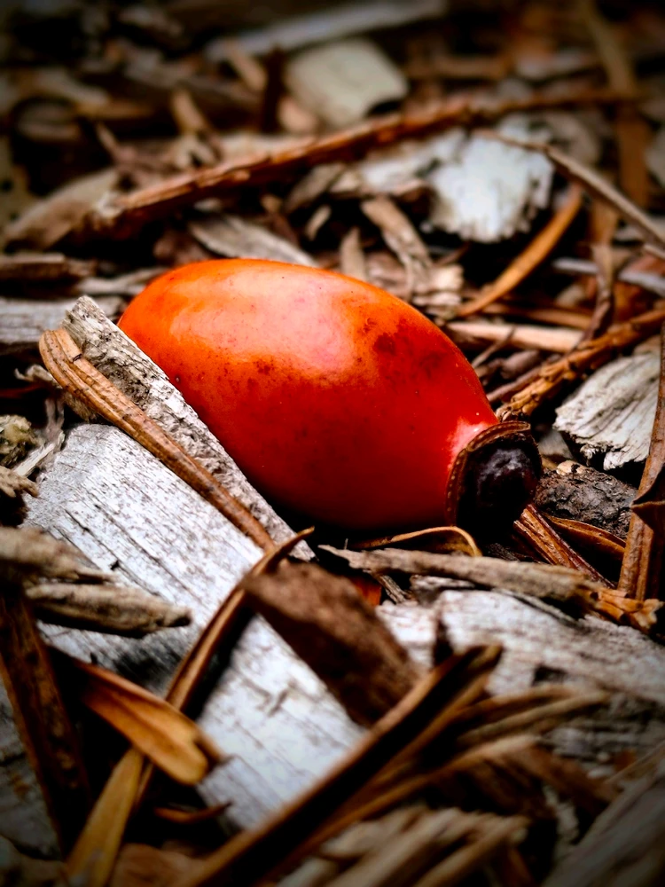 Image uploaded by Jonathan