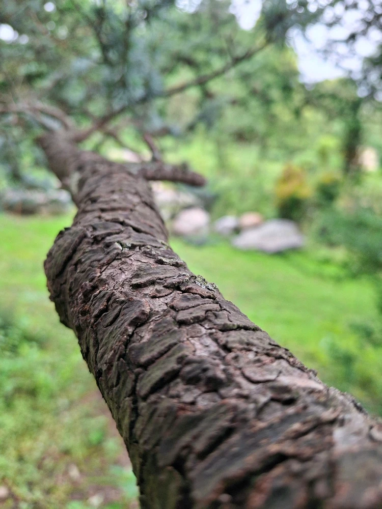 Image uploaded by Jonathan