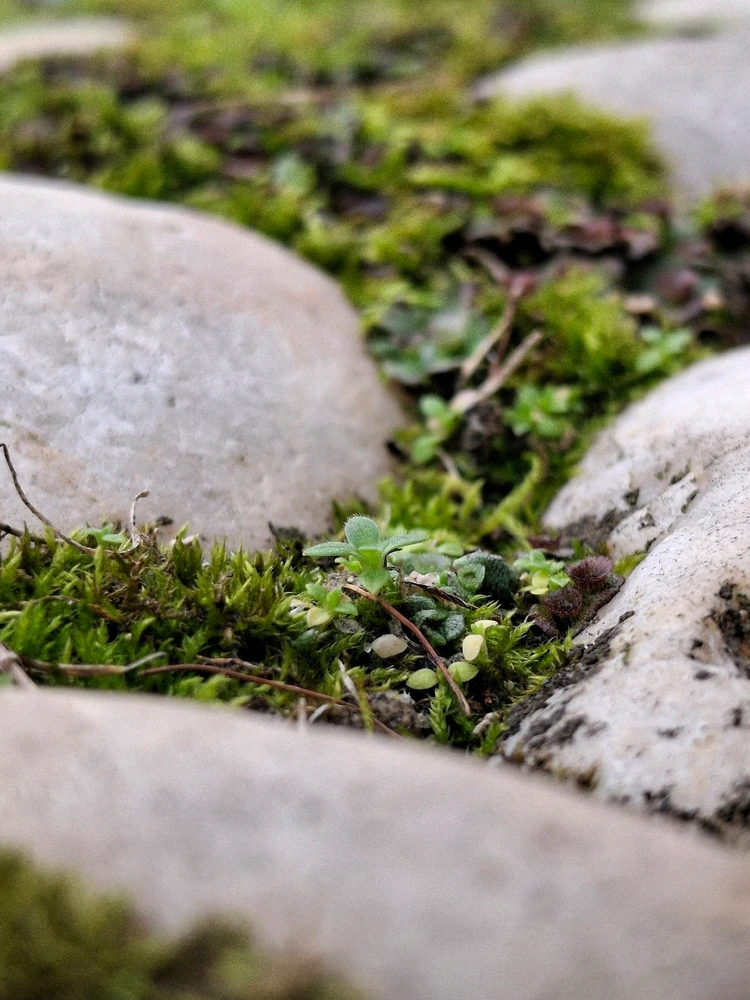 Image uploaded by Jonathan