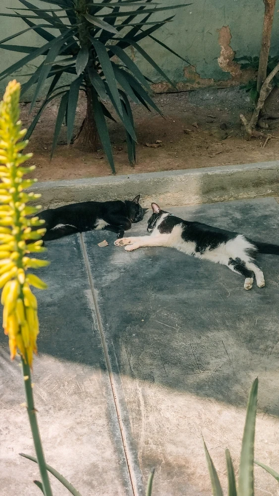 GIF uploaded by ANTOINE