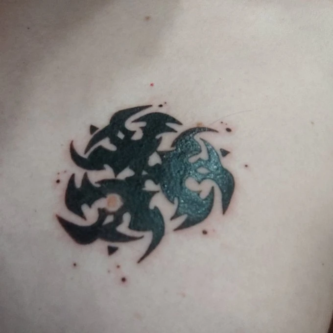 Image ajoutée par Kylian