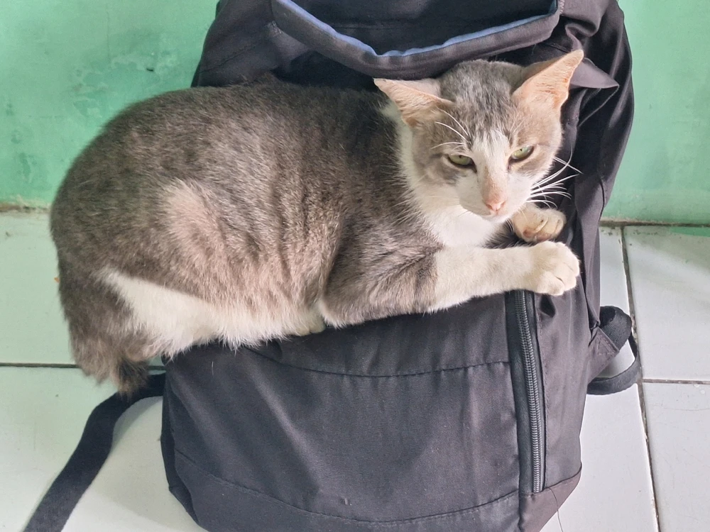 GIF uploaded by Anda