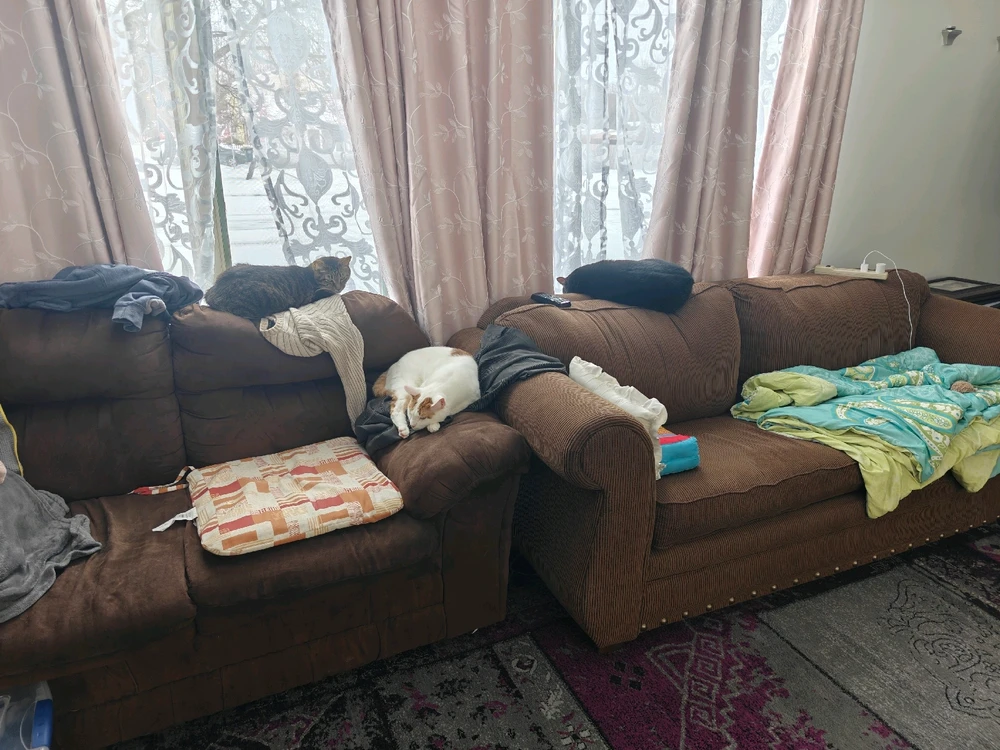 GIF uploaded by Owen