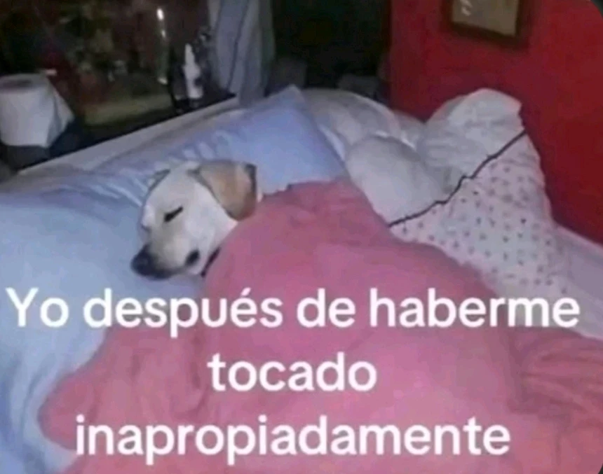 GIF subido por Héctor