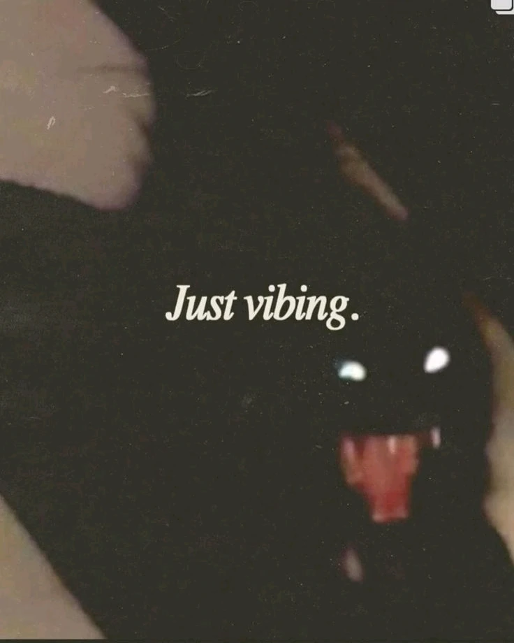 GIF uploaded by JULIETTE