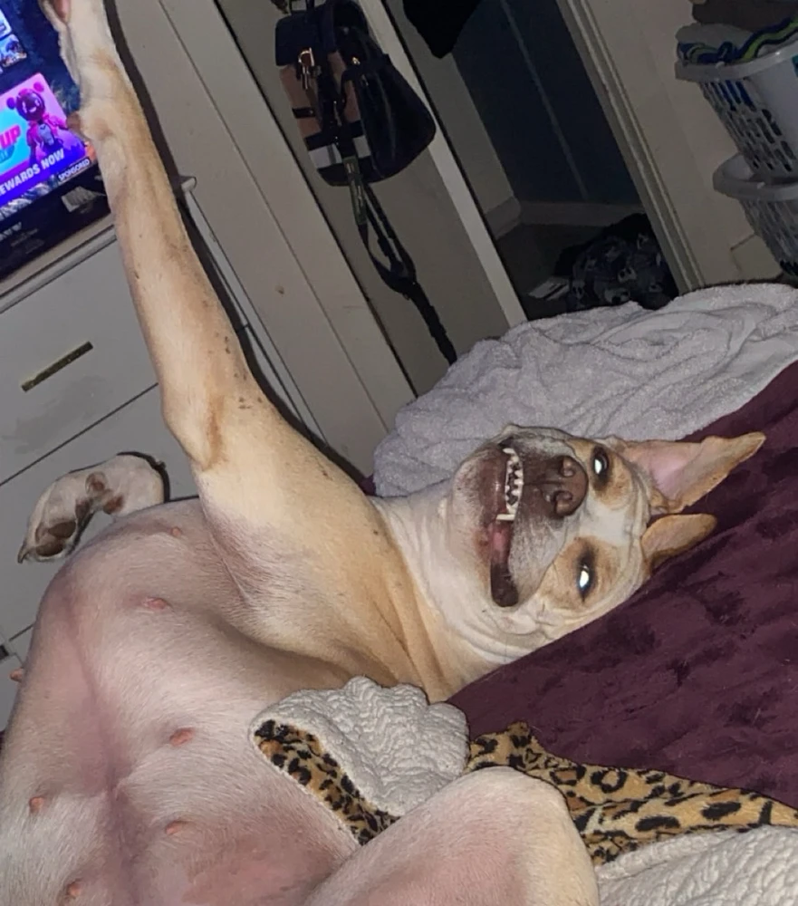 Image uploaded by Hailey