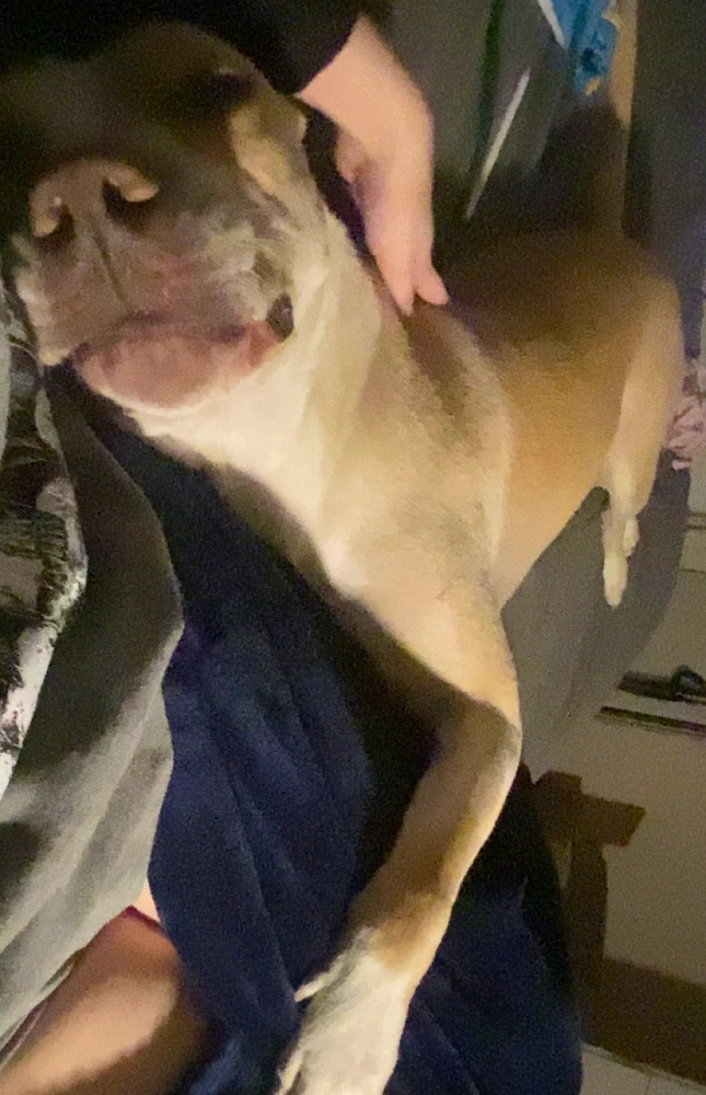 Image uploaded by Hailey