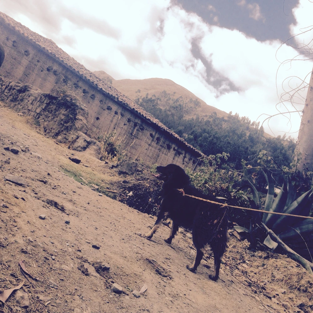 GIF uploaded by Alejandro V